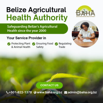 Foreign Affairs CEO and Finance Belize discuss promoting Belize’s financial services sector