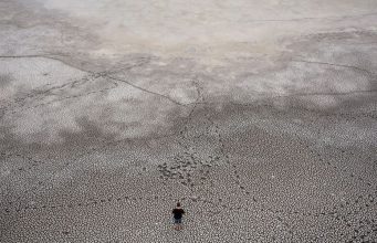 The week’s best photos