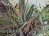 Exhibition: Historias del aire y del suelo / Stories of Air and Soil