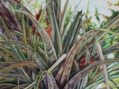 Exhibition: Historias del aire y del suelo / Stories of Air and Soil