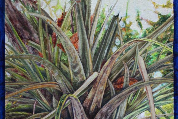 Exhibition: Historias del aire y del suelo / Stories of Air and Soil