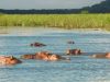 The varied delights of a safari in Malawi