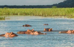 The varied delights of a safari in Malawi