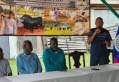 Small Farmers receive subsidized breeding bulls to strengthen Belize’s cattle Industry