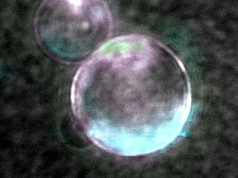 Creating almost-life in the lab