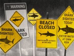 Climate change stokes shark bites Down Under