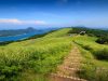 A cosmopolitan corner of southern Japan