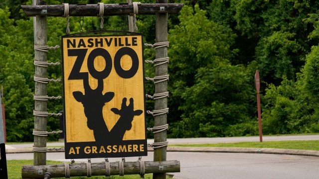 Nashville Zoo becomes new front against data centers