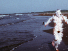 Ana Mendieta at Tate Modern: triumphant show crackles with a ‘sense of pagan magic’