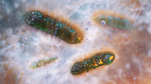 A sexually transmitted stomach bug is spreading