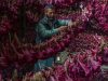 The week’s best photos