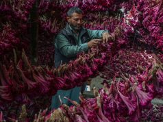 The week’s best photos