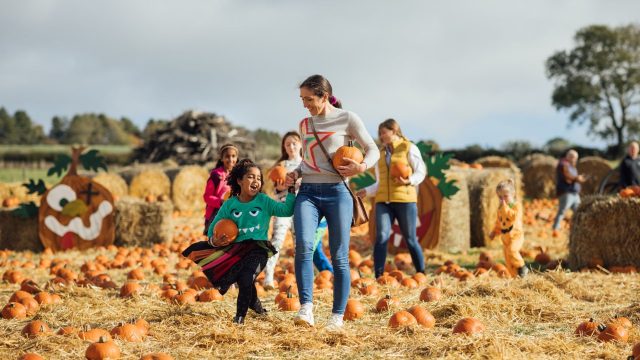 Family-friendly days out for Halloween